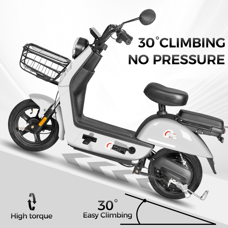 El fabricante se especializa en vehículos eléctricos Beetle de dos ruedas, vehículos ligeros de doble batería, nuevas bicicletas eléctricas para adultos asistidos