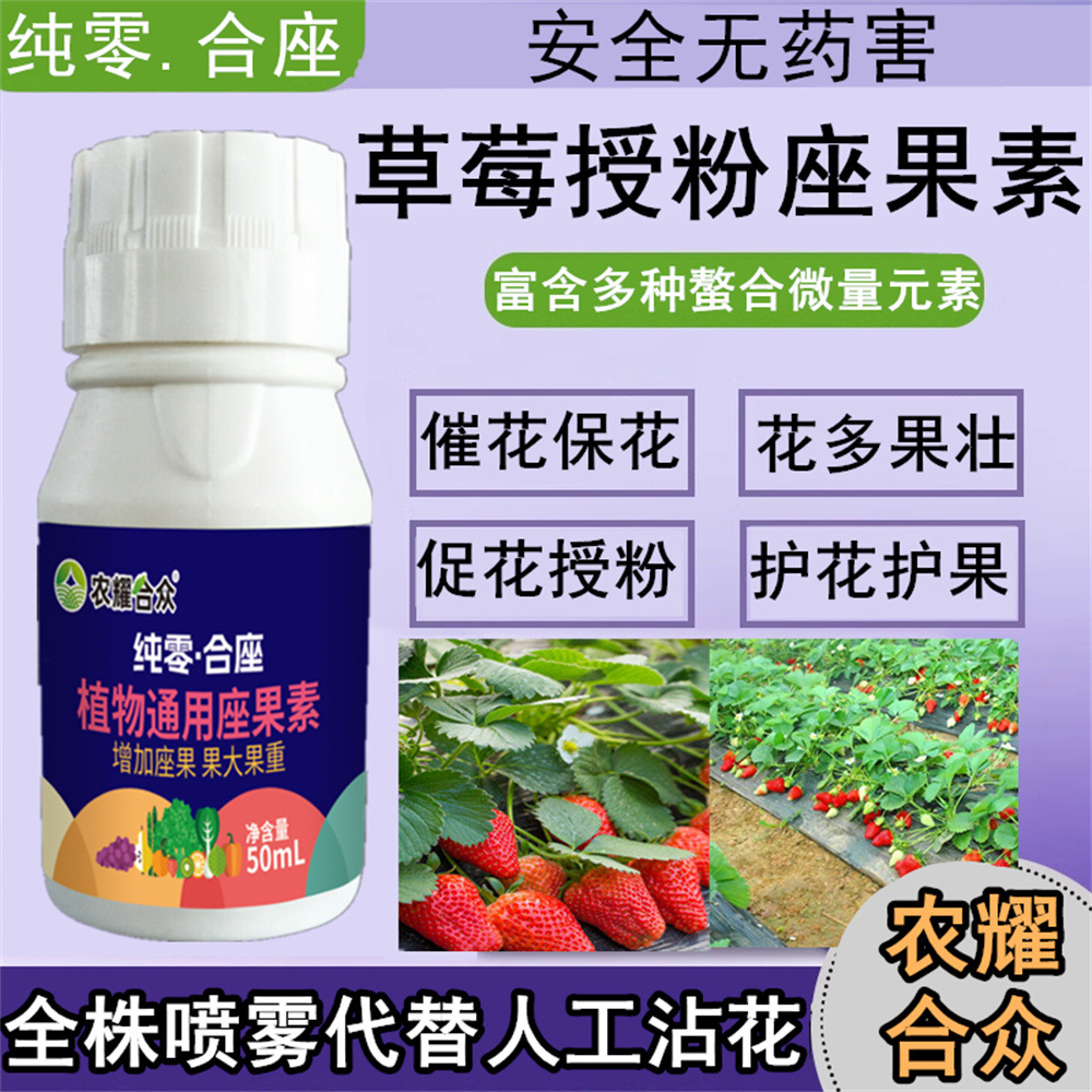 Thuốc đặc trị thụ phấn dâu tây, thuốc thụ phấn hoa dâu tây, không thụ phấn thủ công, phun toàn cây tăng hoa và bảo vệ hoa, phân bón nở hoa mạnh