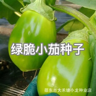 �G��С�ѷN�ӾG���ѾG���ӂ���Ƥ������߲˷N���׷Nֲ�Y����