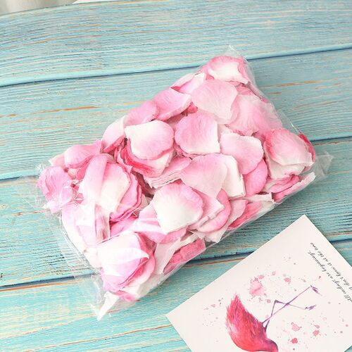 Wedding decoration rose petal simulation, wedding room, love declaration, romantic atmosphere, styling, decoration, ambiance.