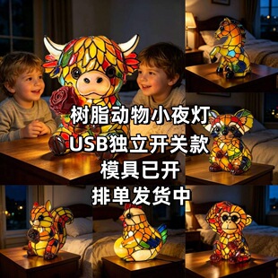 �羳�¿����ϵ�И�֬��ˇƷusb���^�����LEDСҹ���Ҿ��b[��