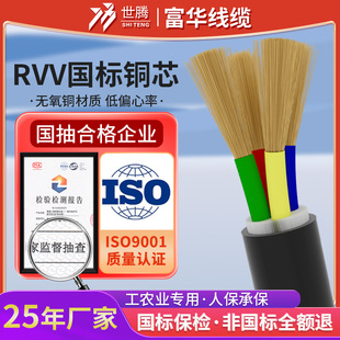 �����~о�Դ�o�׾�늾�RVV2 3 4 5о1 1.5 2.5 4 6 10ƽ����|��