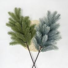 ������Ů��֦���������֦�}�Q���b������}�Q��֦��c��������l