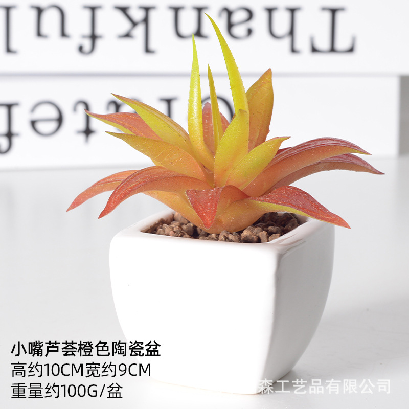 Simulación de cerámica bonsai de carne doméstica decoración de escritorio de oficina plantación verde maceta props de disparo maceta combinada artificial image 59