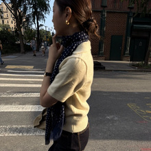 �F؛2026�������n���|���T���̼�ɫ���I���^��ĸ�Ứᘿ���������