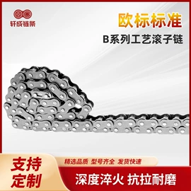传动链;摩托车配附件;链条