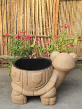 ����ͥԺ�����̨���@¶̨���ބe��Ժ�ӄ������ϴ�ղ�ˮ���ϰѳ�