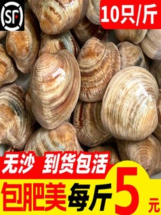 �����ش��r��oɳ�����ĸ���S͘�ӻ���ؐ��r����oɳ��ؐ