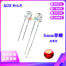 f5��ñ�t����� �t�� 5mm��ñled���� �װl�t ֱ��LED�l����O��