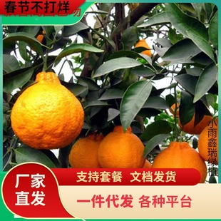 һ�����l���Ե���ɽ高����ј���䗗��J�����Ә��Ҙ�ʯ������