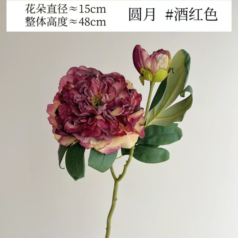 와인 레드