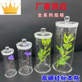 试管、滴管;试剂瓶;烧杯、烧瓶