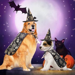 2 Pet Halloween Costume Vampire Cape Hat Costume Set Halloween Party Cape Witch Hat