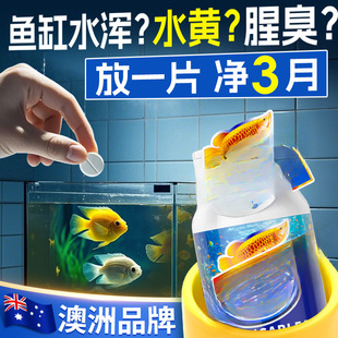 �~�׃�ˮƬ�峺��һ��������ȳ�ζȥ�Sˮ���B�~ˮ�|����