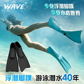 浮潜套装;脚蹼、手蹼;泳镜
