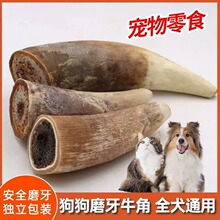 风干牛角狗狗零食含牛角髓营养补钙磨牙洁齿不伤肠胃耐啃咬磨牙棒