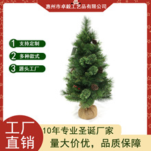 90CM����ʥ��С��������ϵ�б�������ʥ����