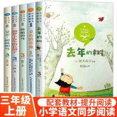 三年级上册课外书籍 搭船的鸟 金色的草地 去年的树 父亲树林和鸟