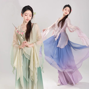 Classical Dance Performance Costumes, Ancient Style Wide-Leg Pants, Chinese Element Gauze Clothes, a Complete Set of Artistic Examination Fairy Elegant Performance Clothes