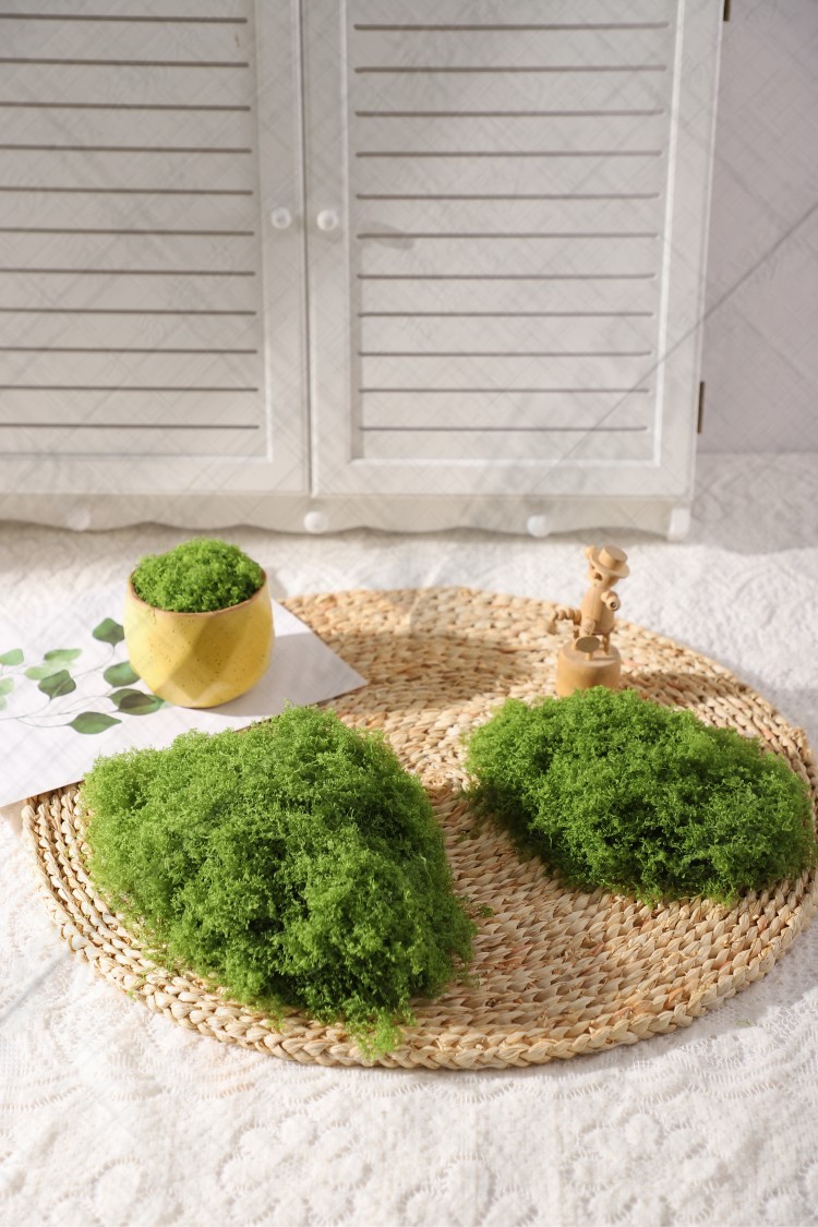 颜色分类_05_丝状苔藓浅绿25克