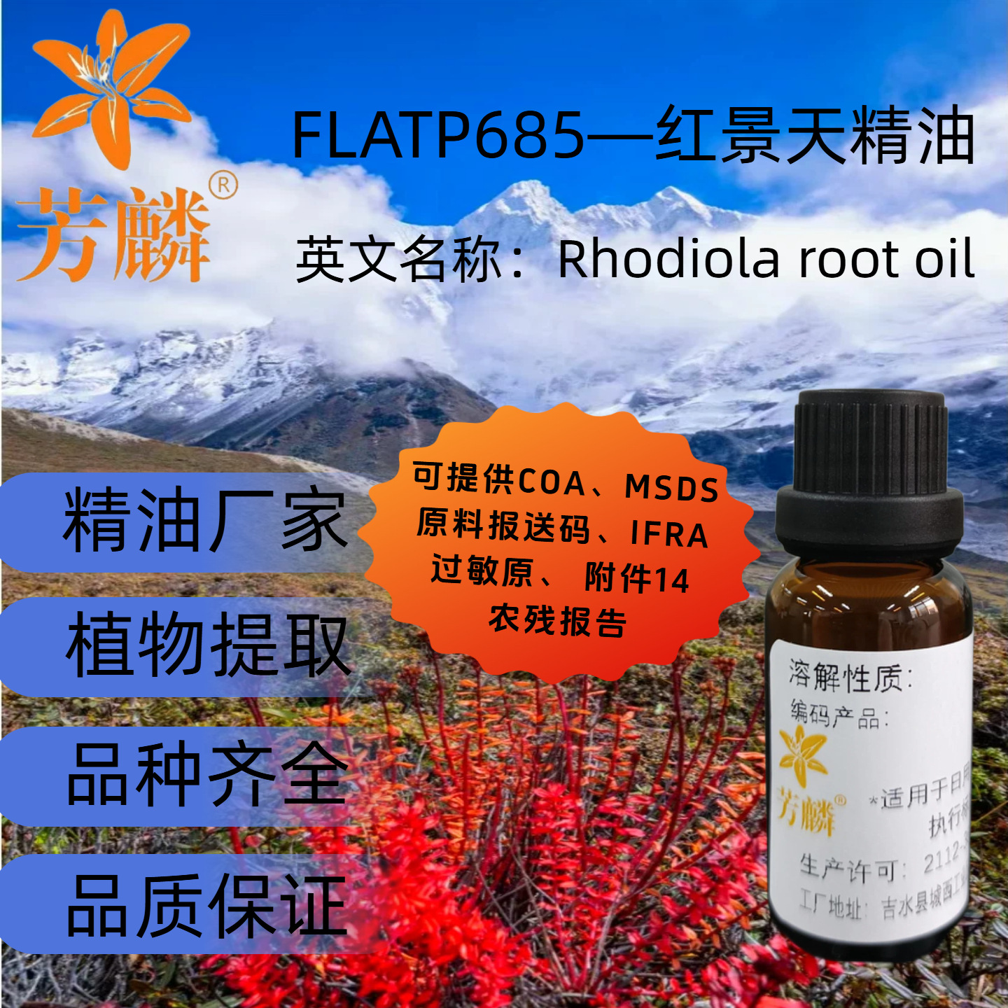 FLATP685— 红景天精油 植物香薰按摩精油 水性水溶性 日化原料