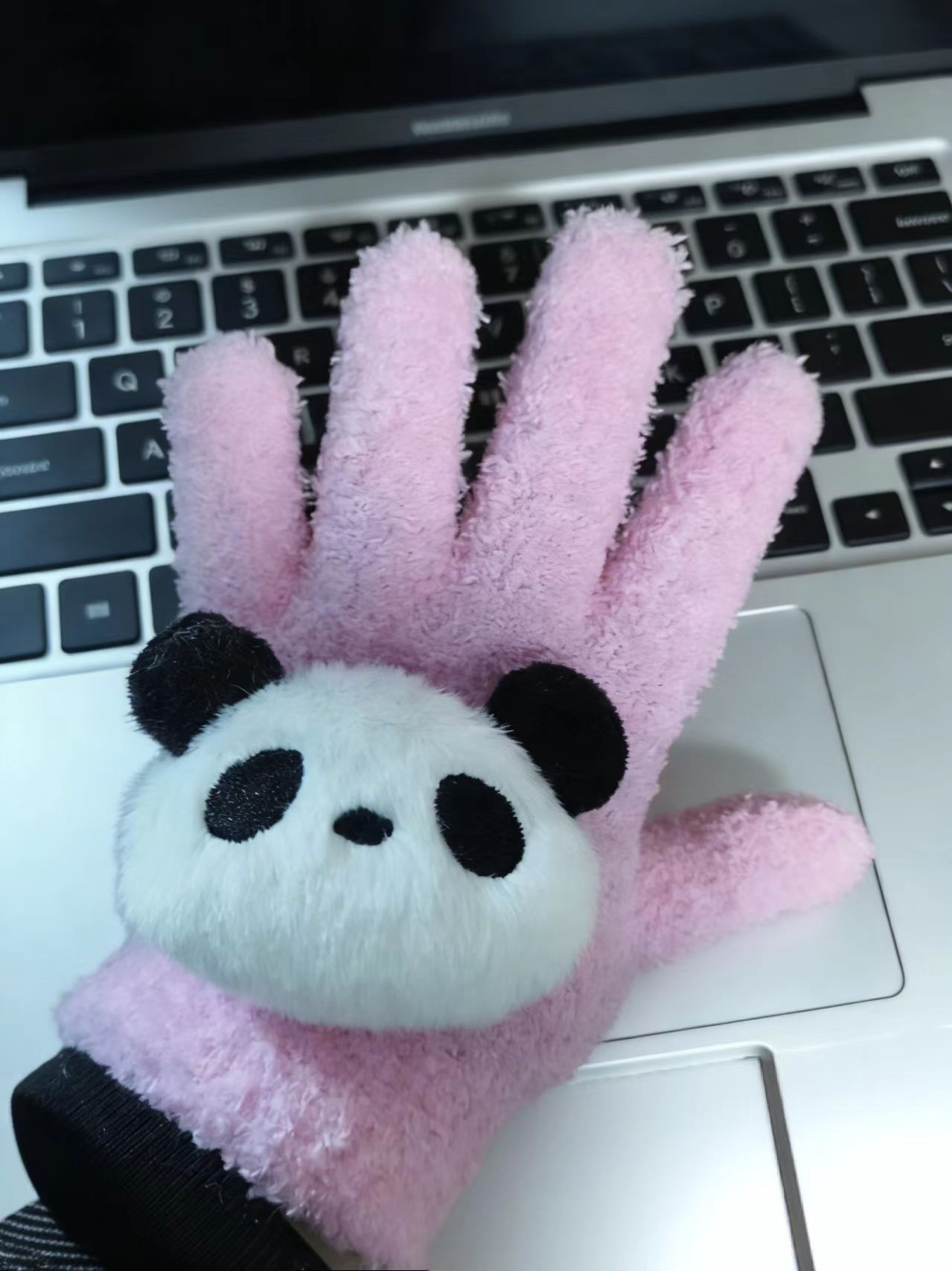 판다 핑크 장갑