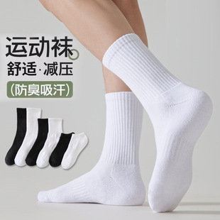 �T���m����ʿ�ﶬ�Ӻ�ë��������Ͳ�m����������ɫ�LͲ�\���m��