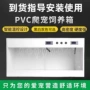 爬行守宫