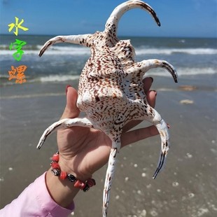 ��Ȼ���ݘ˱������_�ݺ����L��ҾӔ[������ؐ���~���쾰�h̨�b�