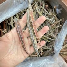 ������������������������Ǻ��� �����ɻ��ݾ����� 500��