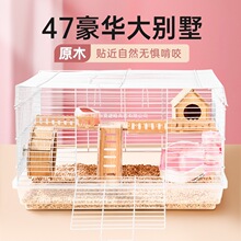 �}��\�ӄe�����A����ҧ�ش�̖�}��\���p��͸��60�\���F�z�ӱ�