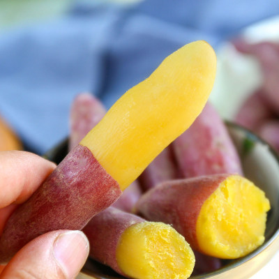 [Goldfinger Sand FCL 5 20g + Farm Sweet potato Thin Sweet glutinous rice