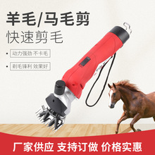 ���ҹ�Ӧ���ʽ��϶������ë����ë��F6-SLţ����ë��ë������