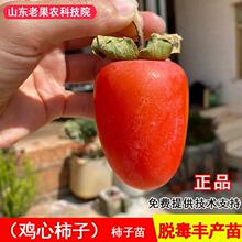 �޽��u�����Ә����ش�o����������䱱�Ϸ��Nֲ����Y���������