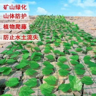 �Ĵ�������~�Wɽ�w�G���W�;G���w���b�W�G�~�W�����Ę��~���b�W
