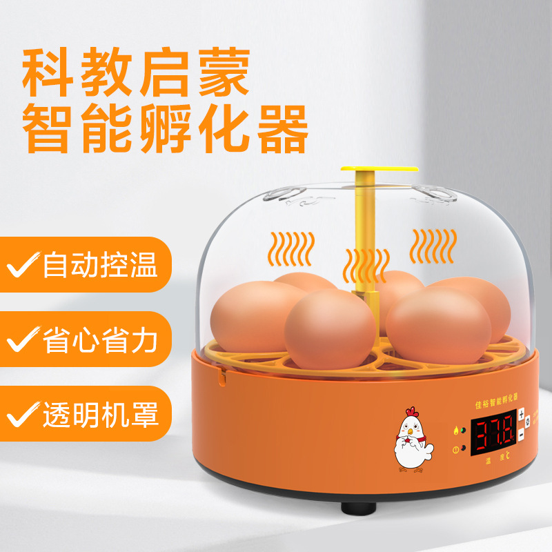 Incubadora experimental incubadora de pollo pequeño hogar automático huevo incubadora niños incubadora inteligente