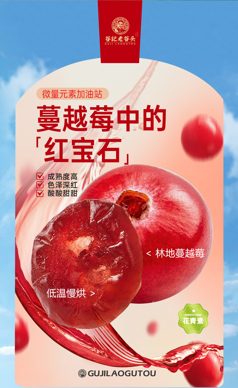 Dried Cranberry Fruit Snack for Baking Office Snacking 350g overview