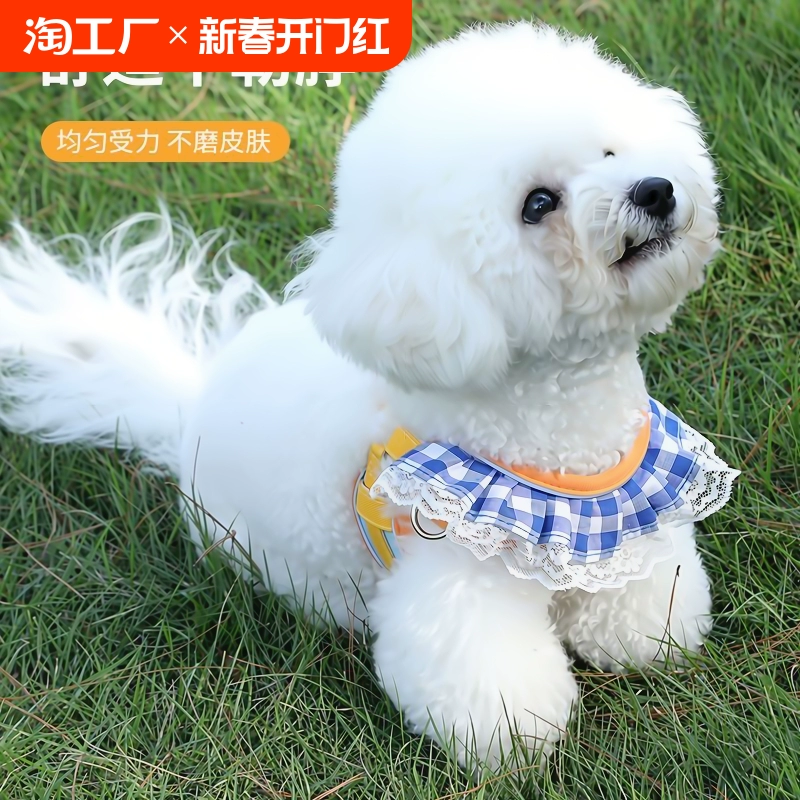 Ремни на груди для поводка для собак лучше, чем у медведей