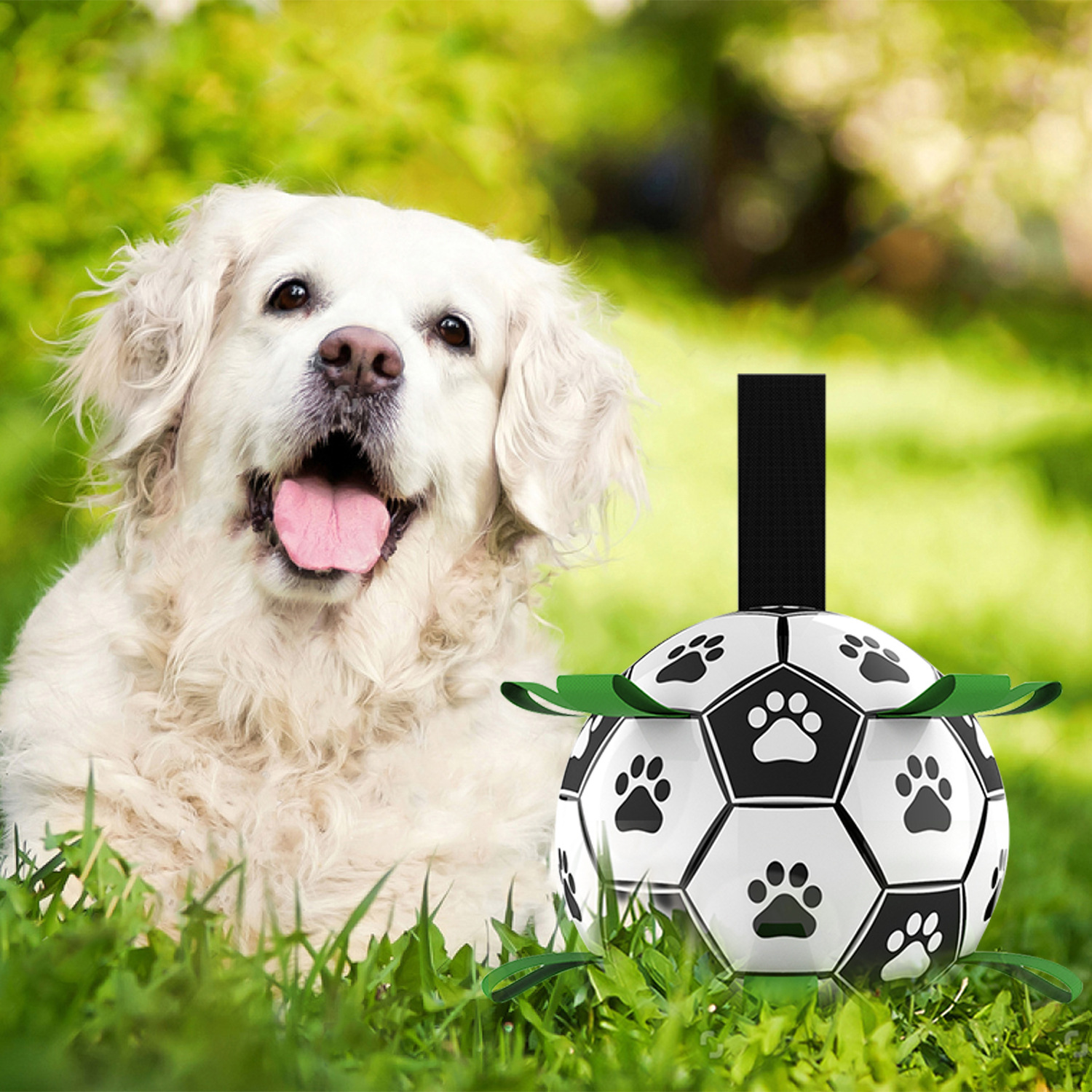 Borde de la bola del perro cría de animales juguete Golden Retriever Labrador Corgi entrenamiento del perro Bola Especial para mascotas bola juguete para perros suministros para mascotas