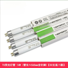 ���ۘO�� �ɹ����.��.������ɫ�ɹ���չ����