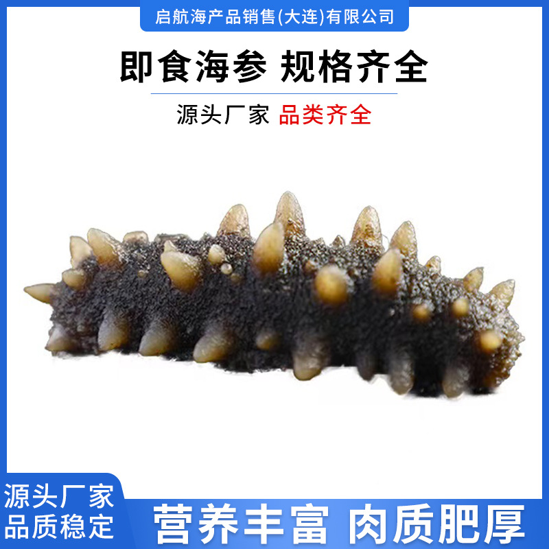 鲜食即食大连海参正宗刺参鲜活海叁干货可礼盒装野生海参500g-阿里巴巴