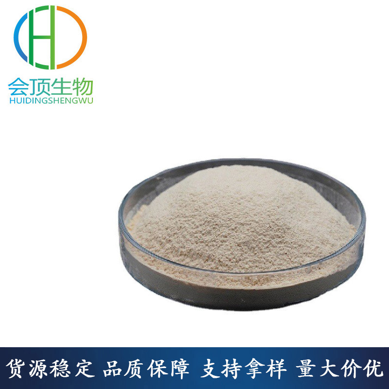 现货供应 酵母葡聚糖食品级 β-葡聚糖 β酵母葡聚糖 长期销售