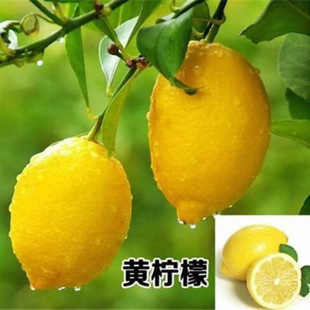 �S������޽������ᙎ�ʘ��ļ��Y��ͥԺ�辰ͥԺ�̨