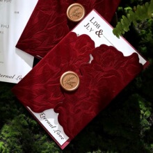 ��YՈ���Y��Ո��2026�¿�߶˾Ƽt�z�q������ϲ����Ո���� �ƴ�