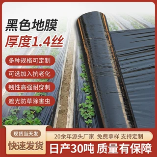 黑色地膜定制农用薄膜保温薄膜抗老化塑料农业种菜PE塑料布黑地膜