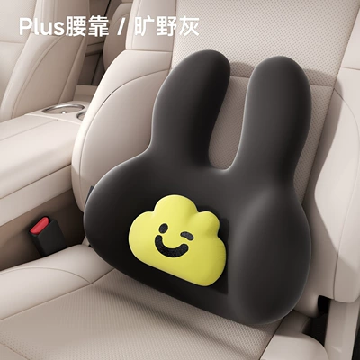 Pillow Car Backrest Cushion, Waist support - 10a-antibacterial-lumbar-support-i-629yg-h-1-wilderness-gray
