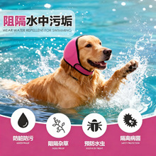 2025�羳�¿�������^�ַ��@���o����ˮ�ļ���Ӿ��ˮ���ṷ����