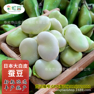 ��Ƥ�Q���N�Ӹ߮a�ձ��ش��Q���N���̨�����ļ�������ȫ�㶹�N��