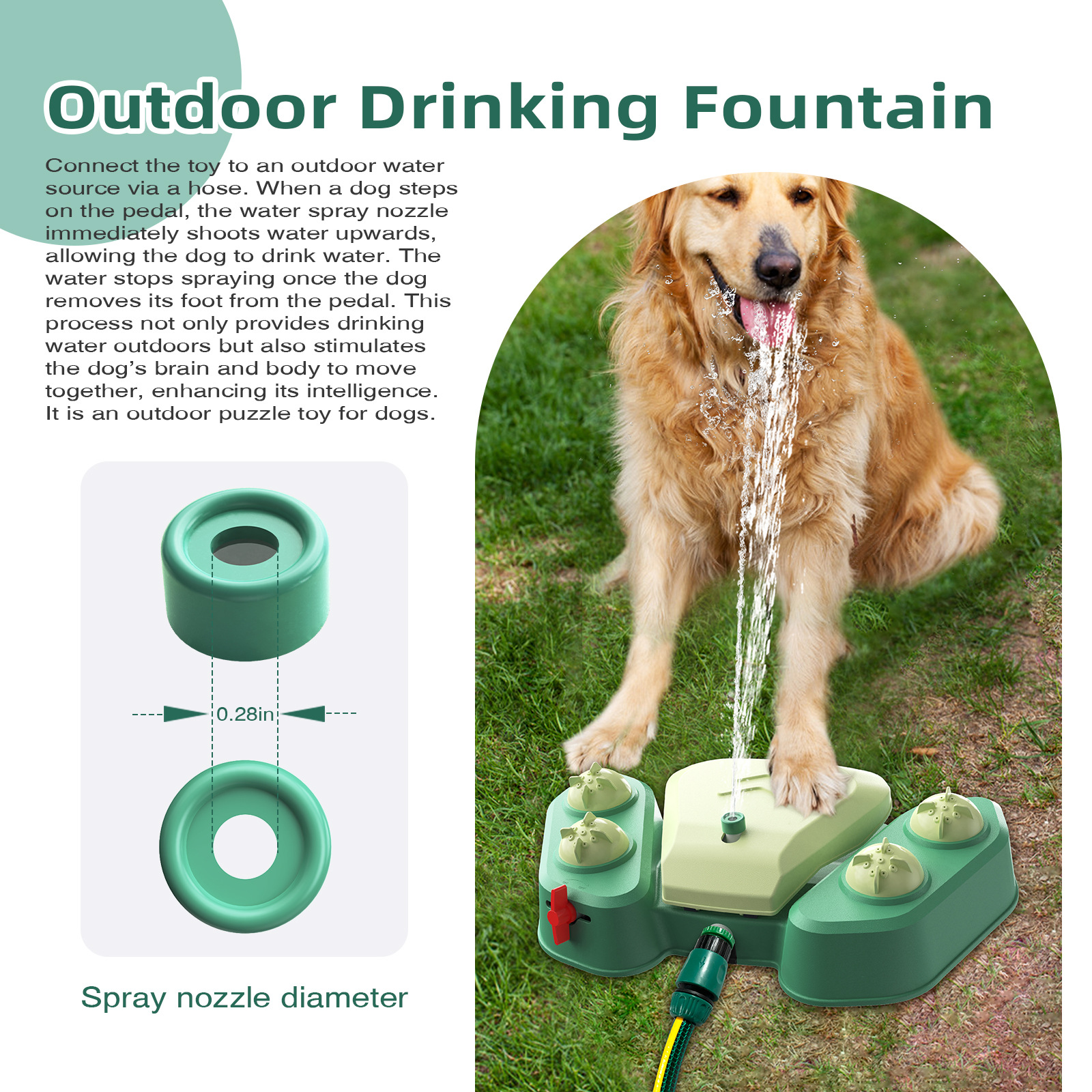 Multifunctional Dog Water Dispenser with Adjustable Spray (PP+PC, Foot-Activated) Multifunctional Dog Water Dispenser with Adjustable Spray (PP+PC, Foot-Activated)