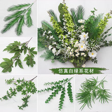 �~�Ļ��Ĳ廨֦�ט��~�����Gϵ�ٻ��b�ɭϵ��c10�Gֲ��������ɫ